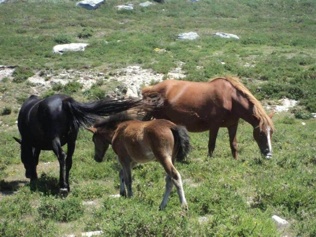 Casa Rural Turistica Casa Nicolau 1 Barbudo 외부 사진